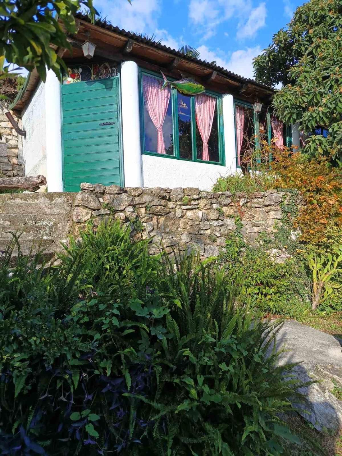 Apartments Jadran Herceg Novi Luaran gambar